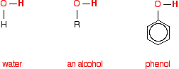 Acid Anhydride 1