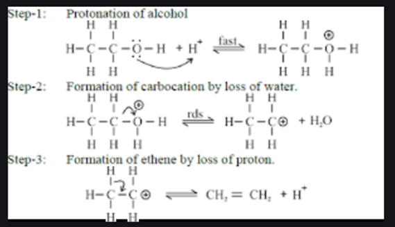 Dehydration of Alcohols 1